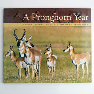 BK 11 A PRONGHORN YEAR: A VISUAL TRIBUTE TO NORTH AMERICA'S PRONGHORN BY DICK KETTLEWELL #21038642 D2 MAR24