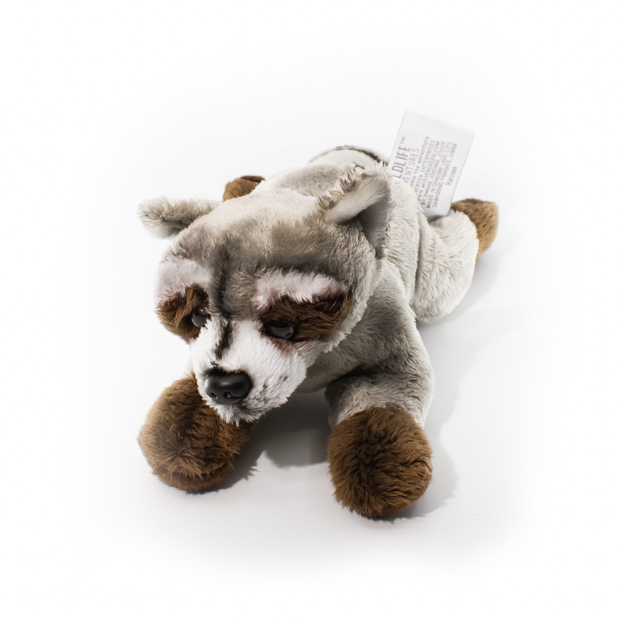 8" Plush Raccoon