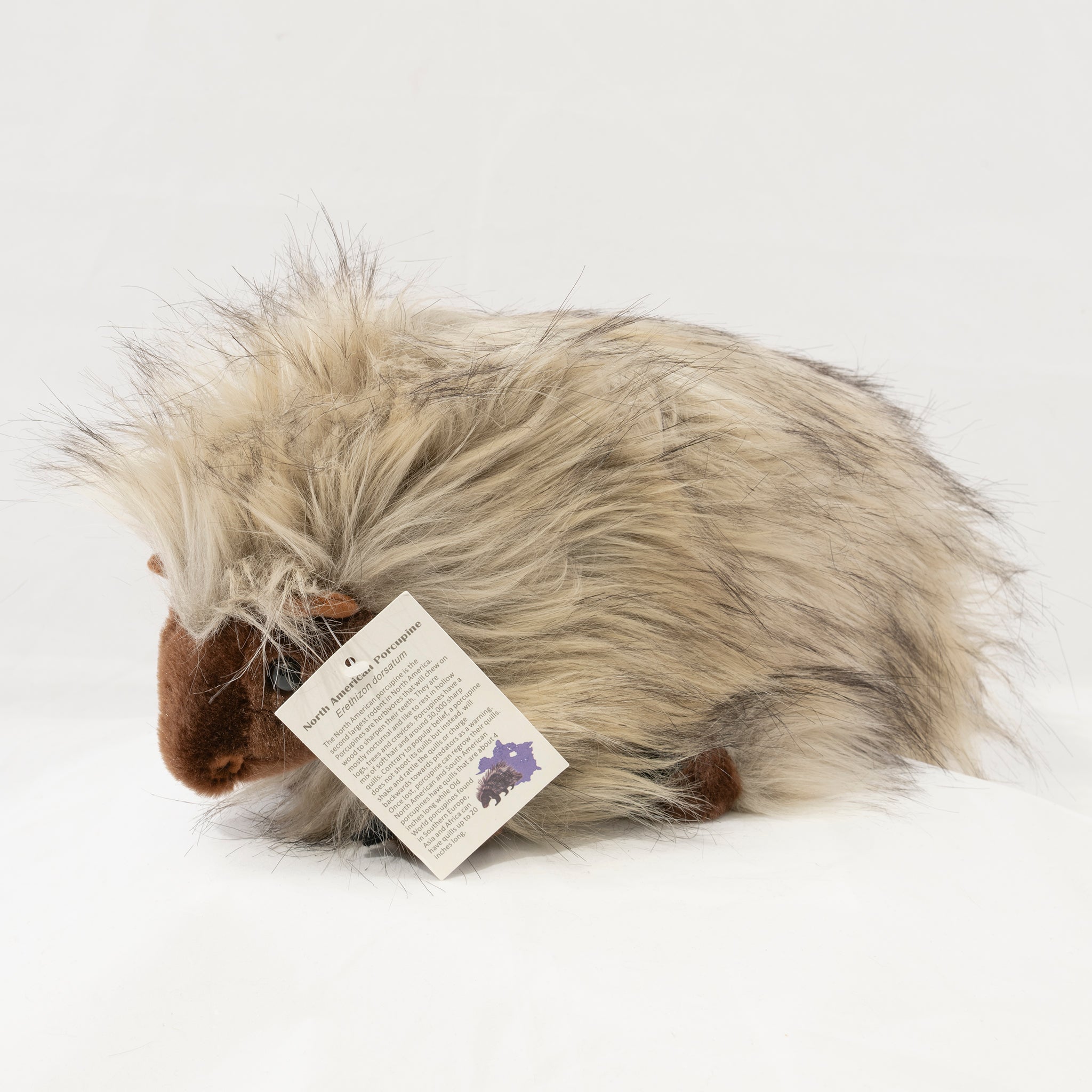 12" Plush Porcupine