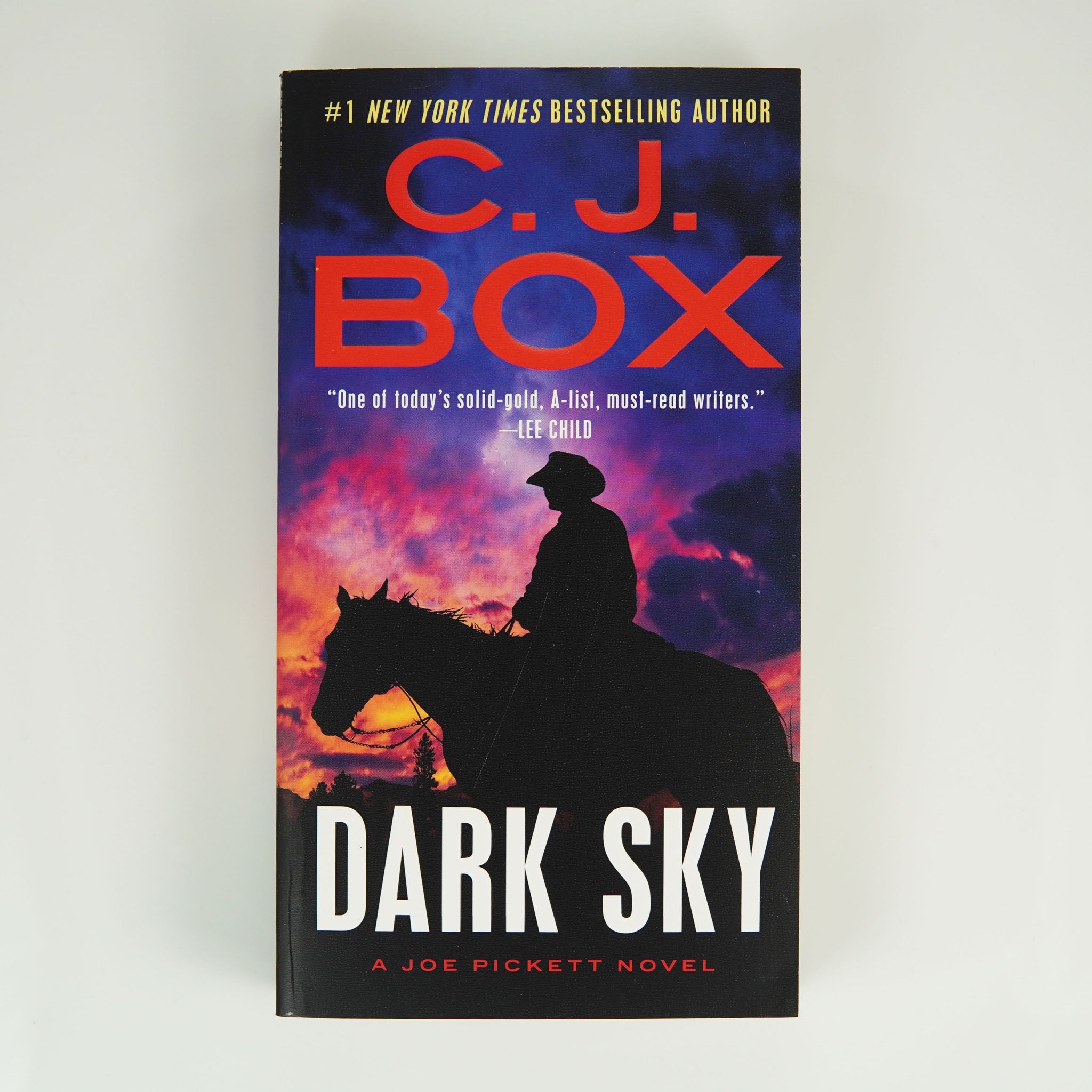 BK 13 DARK SKY #21 BY C. J. BOX #16522 D2 MAR25