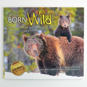 BK 19 BORN WILD 2 BY  S.C. HINCH, HENRY H. HOLDSWORTH #21047956 D2 MAR24