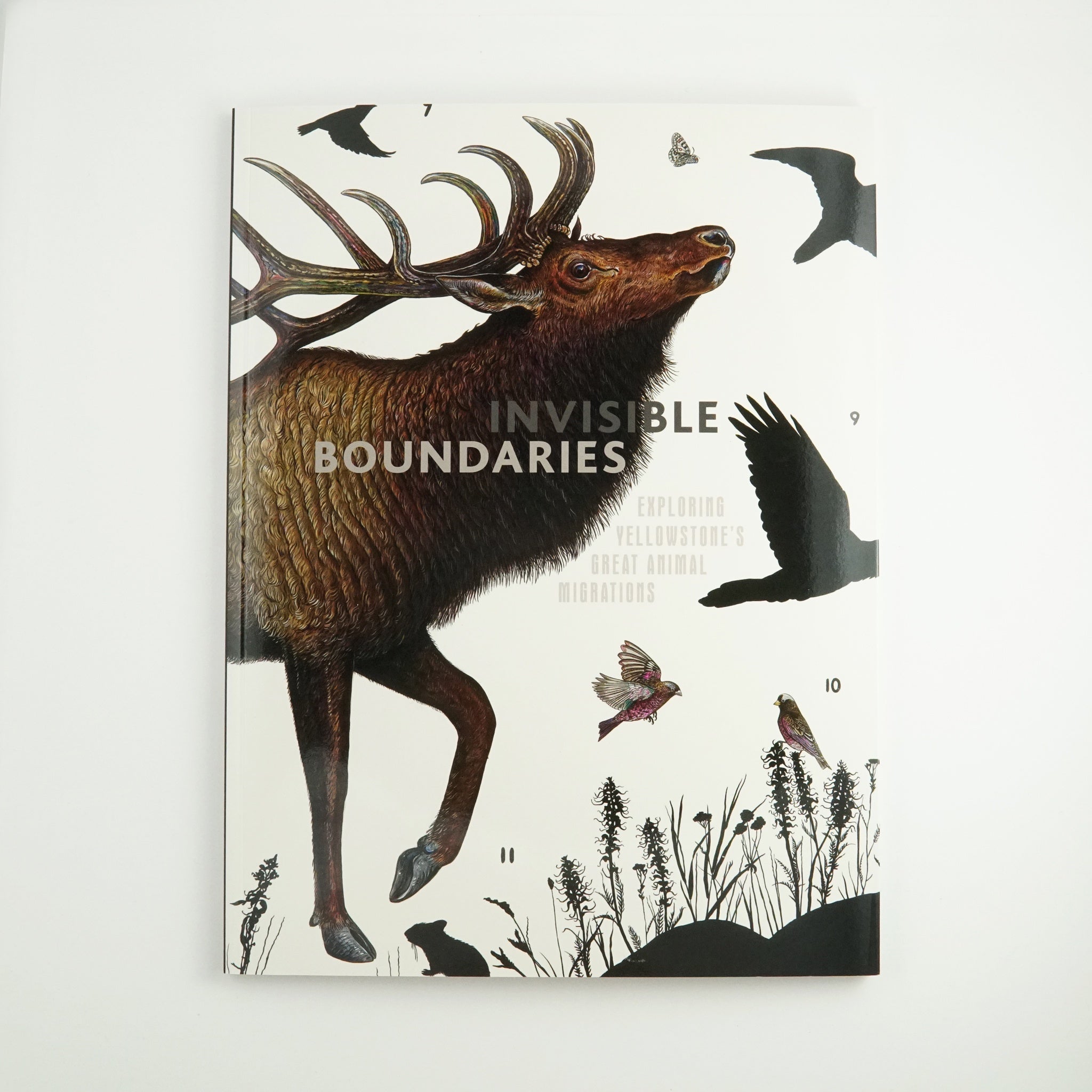 BK 10 INVISIBLE BOUNDARIES: EXPLORING YELLOWSTONE'S GREAT ANIMAL MIGRATIONS BY BBCW #21043246