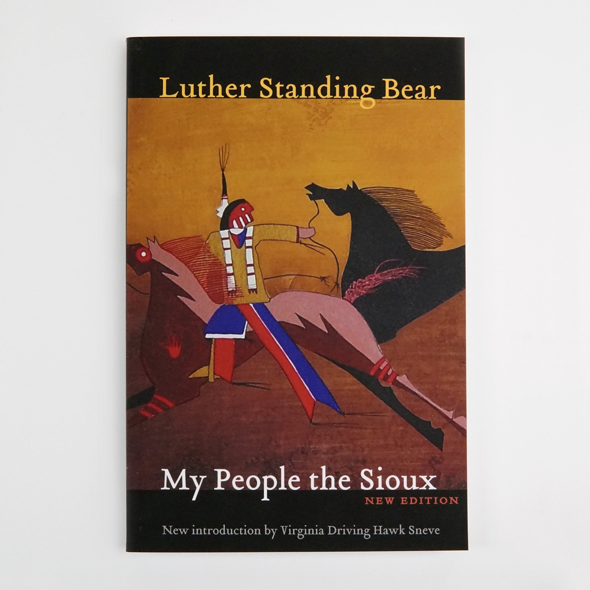 BK 12 MY PEOPLE THE SIOUX BY LUTHER STANDING BEAR #21044802 D2 APR24