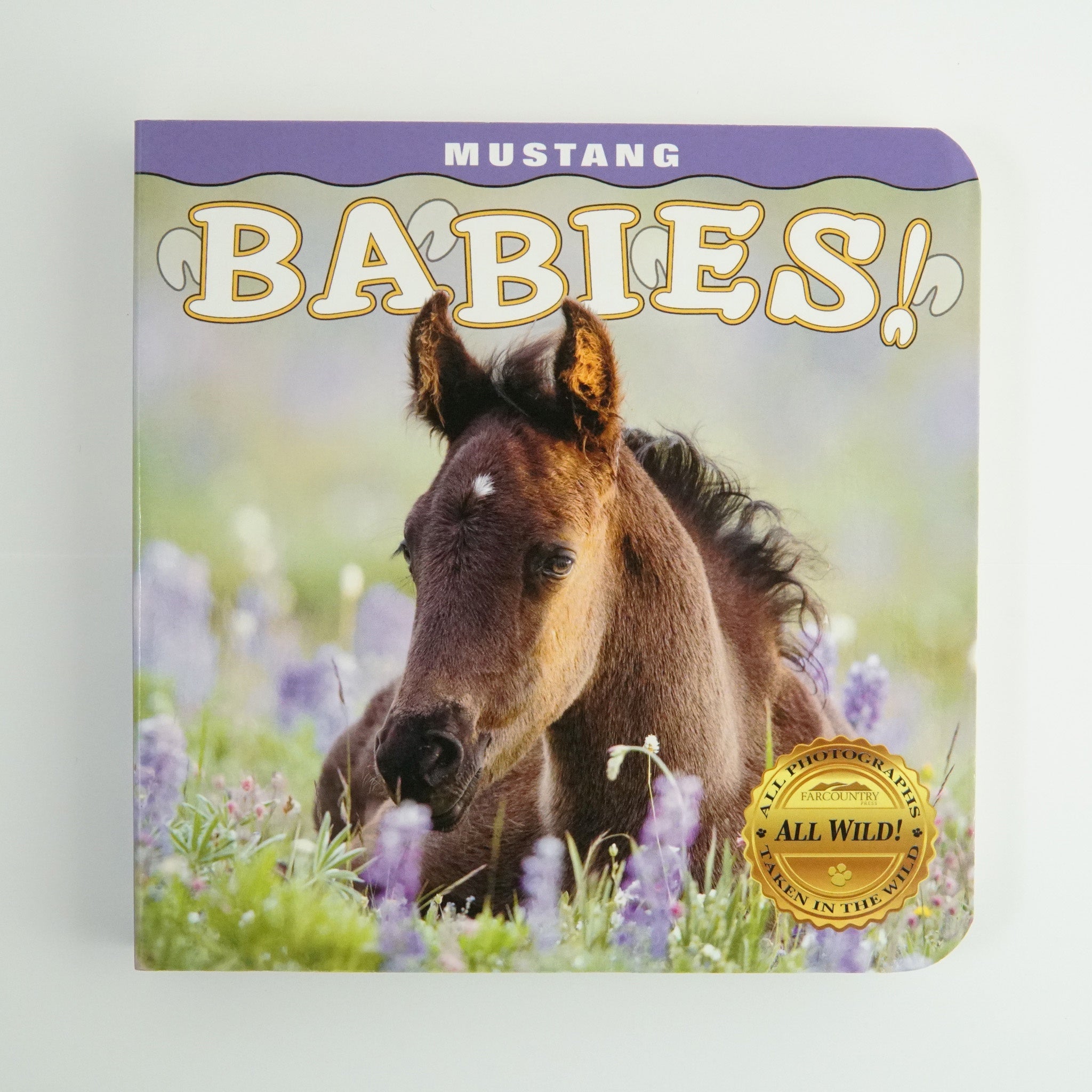 BK 20 MUSTANG BABIES! BY CAROL J. WALKER #21047871 D2 AUG24