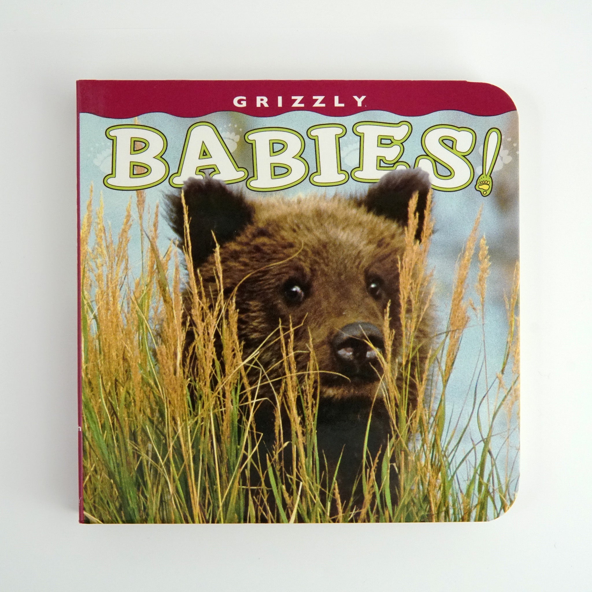 BK 20 GRIZZLY BABIES! HENRY H. HOLDSWORTH #21035141 D2 MAR24