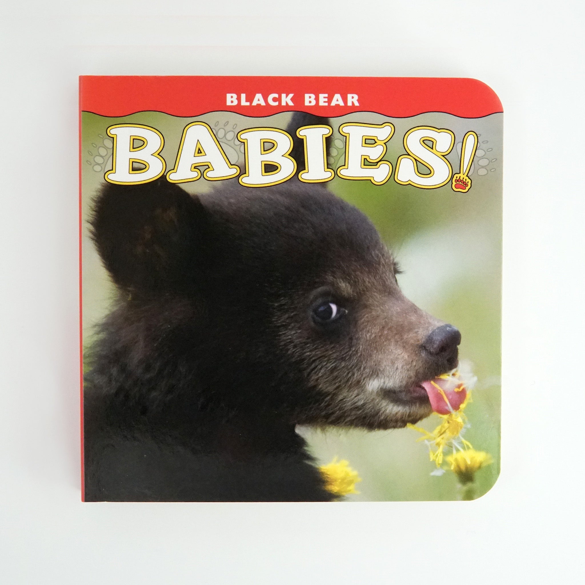 BK 20 BLACK BEAR BABIES! BY DONALD M. JONES #21033727 D2 MAR24
