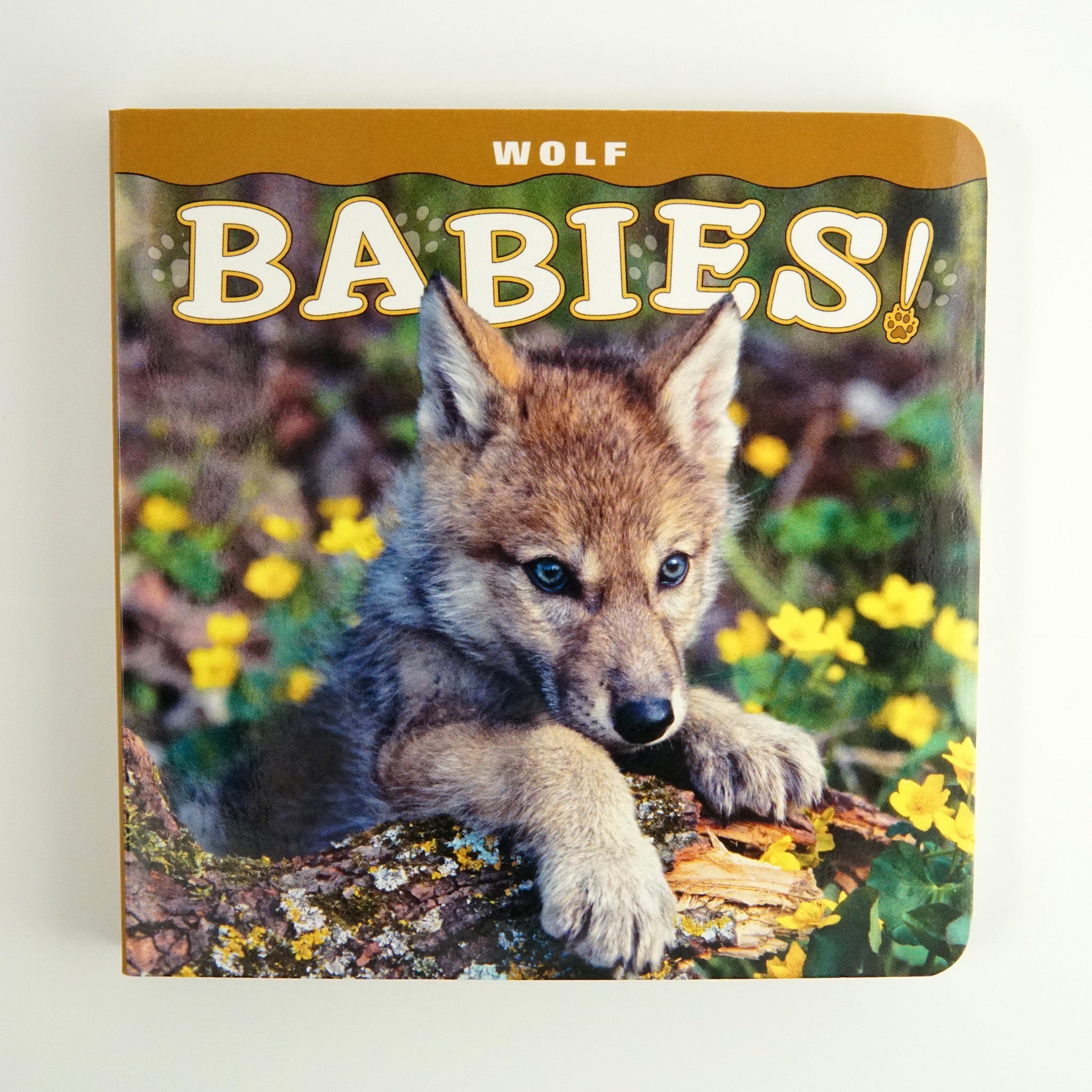 BK 20 WOLF BABIES! BY L. HUSAR, M. HUSAR #21037894 D2 AUG23